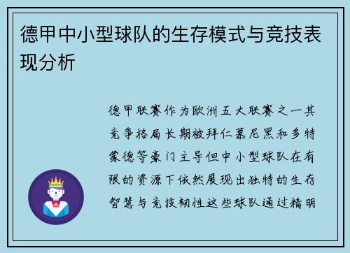 德甲中小型球队的生存模式与竞技表现分析
